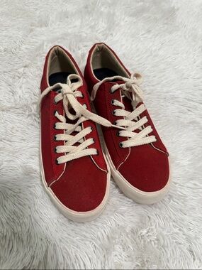 🐬 NWOT Inkkas Suede & Canvas Sneaker